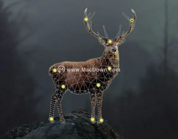 PS教程如何用Photoshop 创造奇幻的燃烧着的鹿