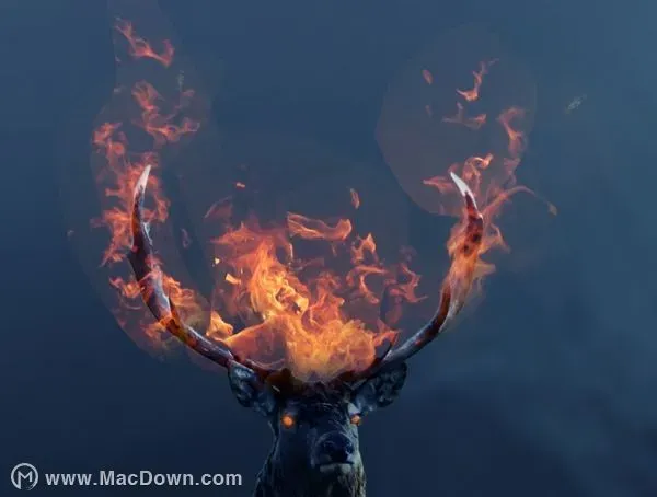 PS教程如何用Photoshop 创造奇幻的燃烧着的鹿