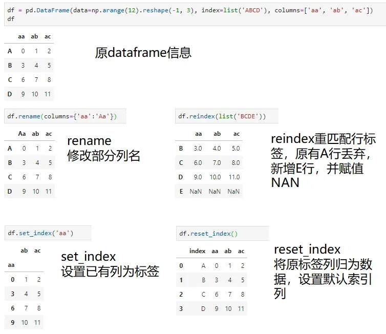 Pandas数据分析教程(1)-Series和DataFrame