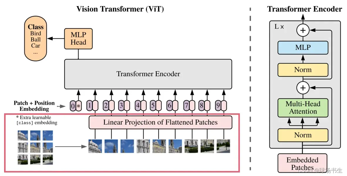Vision Transformer(ViT)及后续工作