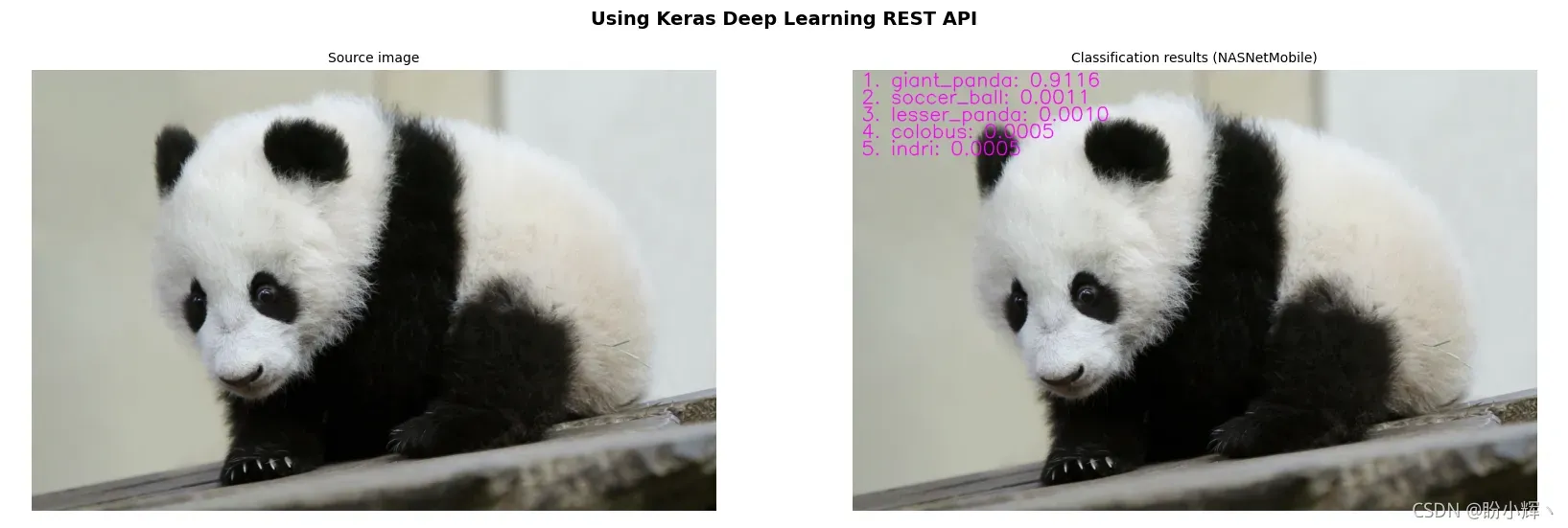 创建 Keras 应用程序的深度学习 REST API