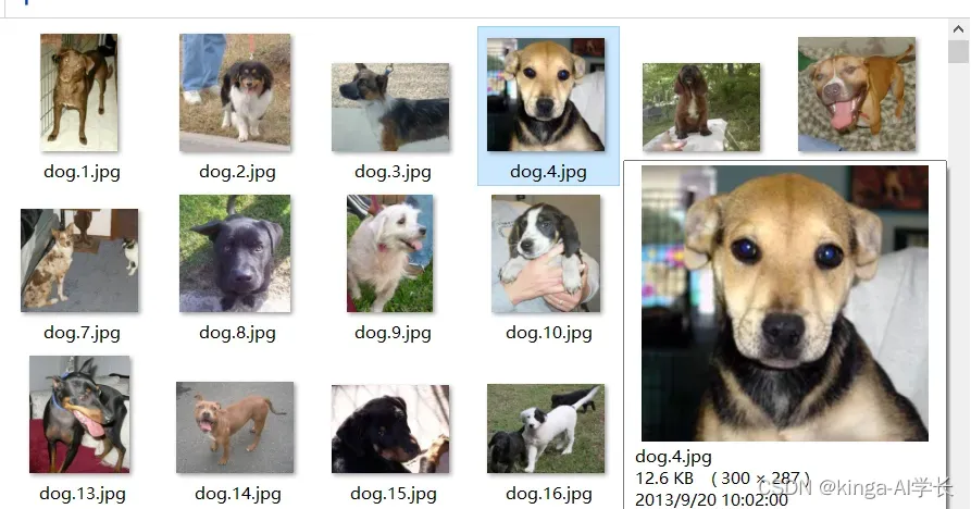 第4例 基于卷积神经网络VGG的猫狗图像识别