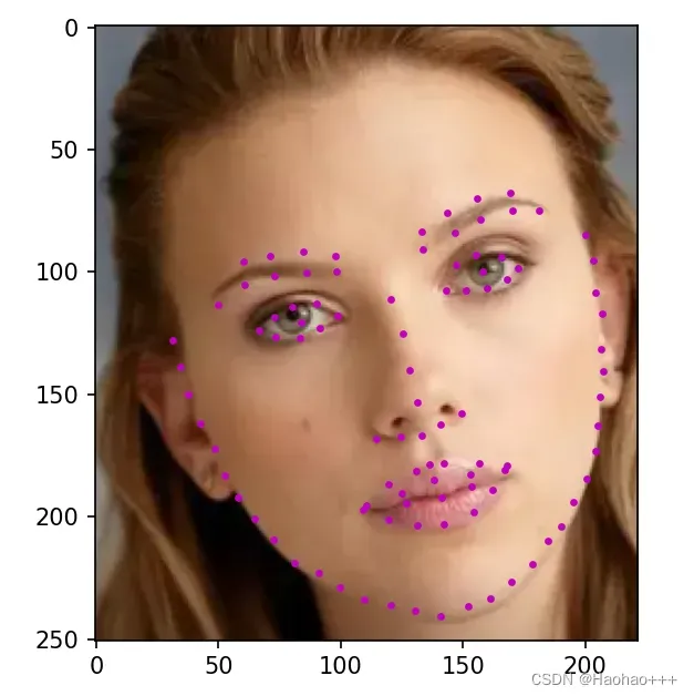 Tensorflow2实现人脸关键点检测算法PFLD——一个精度高，速度快，模型小的人脸关键点检测模型