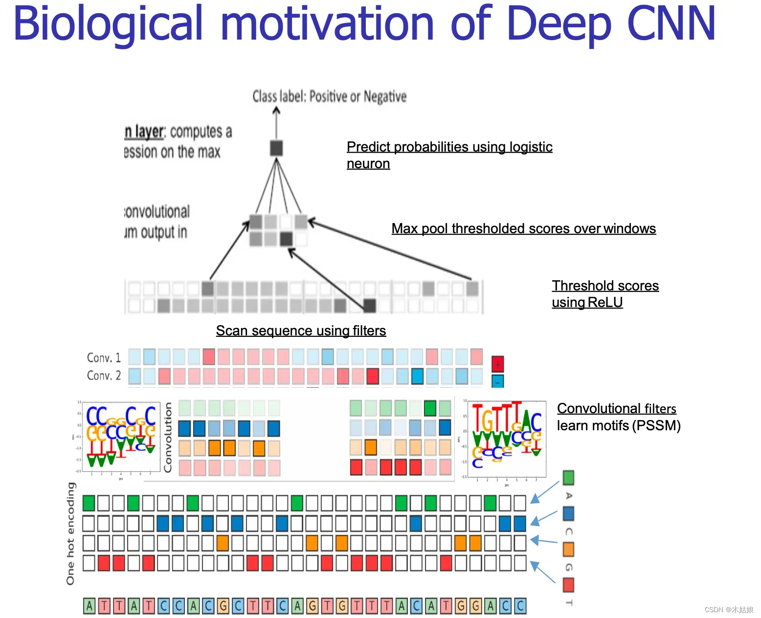 MIT-6874-Deep Learning in the Life Sciences Week5