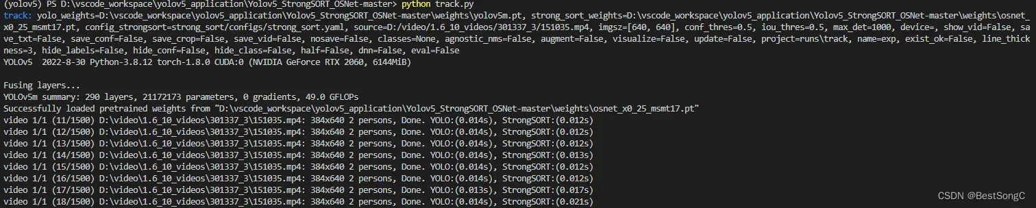 YOLOv5 + StrongSORT with OSNet