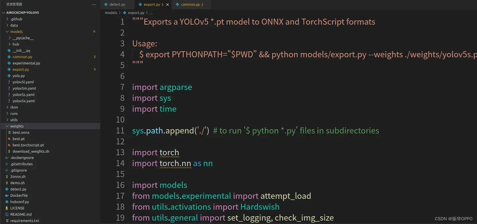 【yolov5】pytorch模型导出为onnx模型