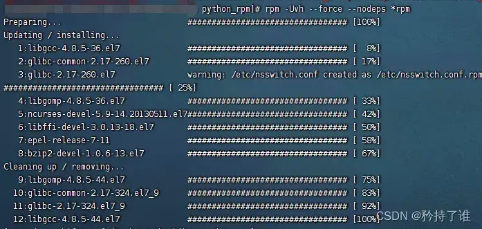 linux离线安装python