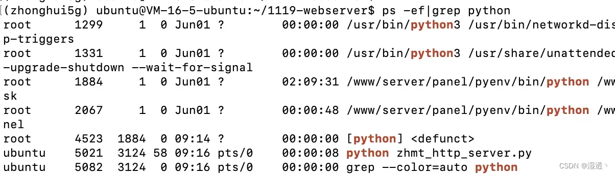 Linux用nohup后台运行python程序及停止