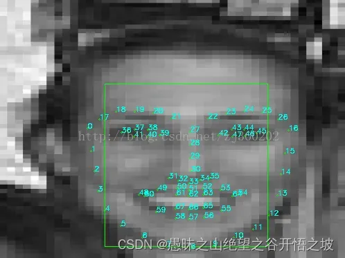 人脸识别5.2- insightface人脸3d关键点检测，人脸68个特征点、106个特征点；人脸姿态角Pitch、Yaw、Roll、