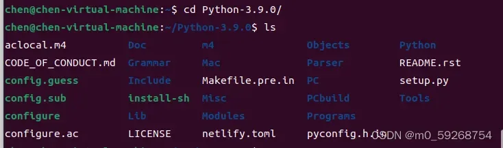Linux下的Ubuntu系统下载安装python3.9.0