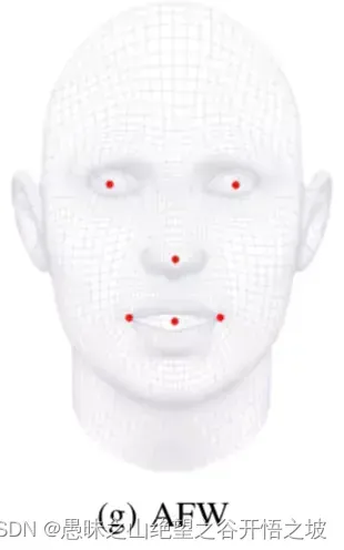 人脸识别5.2- insightface人脸3d关键点检测，人脸68个特征点、106个特征点；人脸姿态角Pitch、Yaw、Roll、